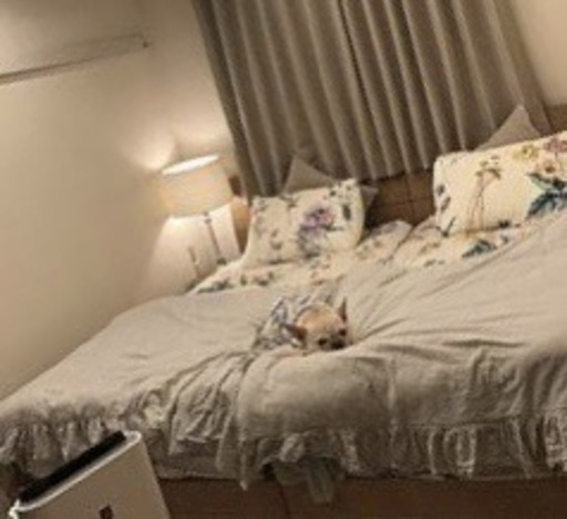 シングルベッド２台