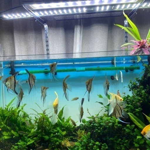 セットで15000円