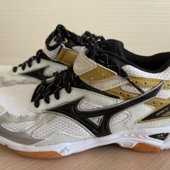 バレーボールシューズの画像