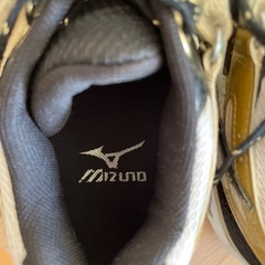 バレーボールシューズの画像