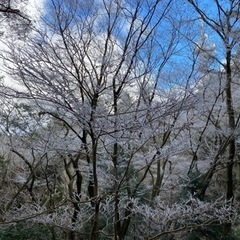 【募集再開！】20〜30代登山仲間募集【土日開催】