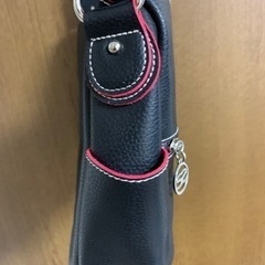 SAVOY ショルダーバッグ　美品の画像