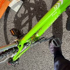 【美品】大幅値引き!! ルイガノ22インチ18段変速Jr用MTBの画像