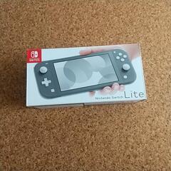 Switch Liteです