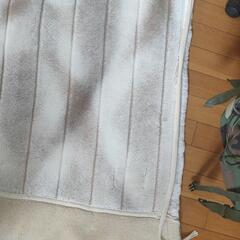 毛布 中古の画像