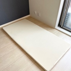 （決まりました）トゥルースリーパー  シングルサイズ