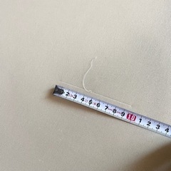 （決まりました）トゥルースリーパー  シングルサイズの画像