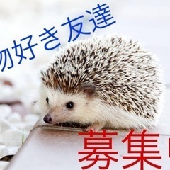 ✨🐶動物好き友達募集中🐶✨