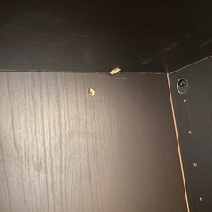 本棚　差し上げますの画像