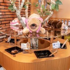 渋谷：北海道めんこい鍋くまちゃん