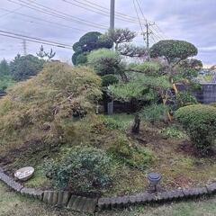 植木のことならおまかせください！！