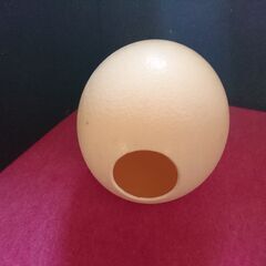 ダチョウのたまご〈カラだけです〉の画像