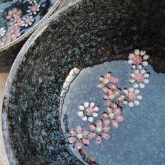 どんぶり２つセットの画像