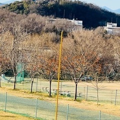 2025年度　江南市　ソフトボールのメンバー募集