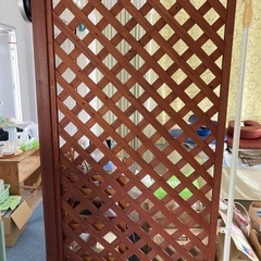 🌳ラテス🏠🚪