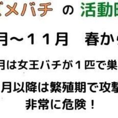 ハチ駆除　茨城　
