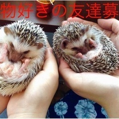 🌸🐿動物好き友達募集🐿🌸