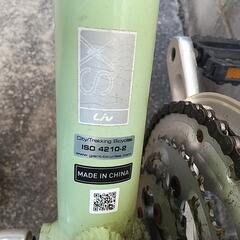 GIANT Liv FREEDA 女性用クロスバイクの画像