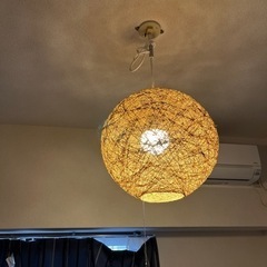 照明（値下げ）