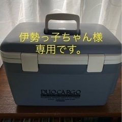 2電流式ポータブル冷温ボックス冷温蔵庫の画像