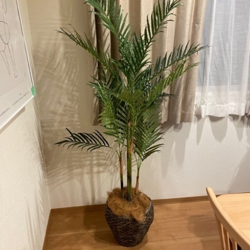 フェイクグリーン　観葉植物