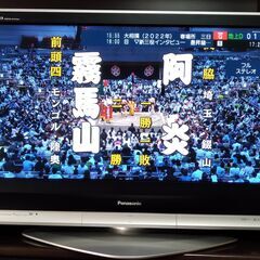 パナソニックデジタルハイビジョンプラズマテレビ37型　動作品