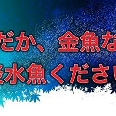 めだか、金魚等淡水魚ください