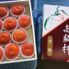 急募‼️柿の摘蕾、キウイフルーツの受粉作業🥝🌳時給1200円〜💡初心者、Wワーク大歓迎👍の画像