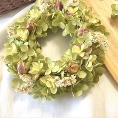 ニゲラヘッドの画像