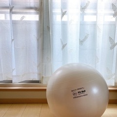 バランスボールエクササイズ⚪️✨