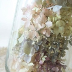 紫陽花ドライフラワーの画像