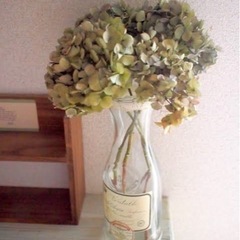 紫陽花ドライフラワーの画像