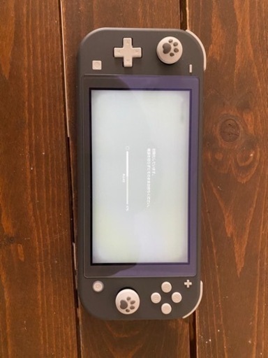 Nintendo Switch light グレー