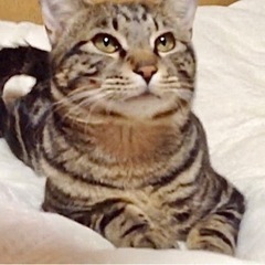 家族が決まりました☺︎