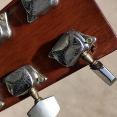 0317-021  HONEY BEEアコースティックギターの画像