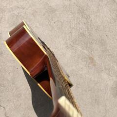 0317-021  HONEY BEEアコースティックギターの画像