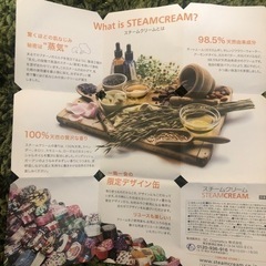 スチームクリーム　未使用の画像