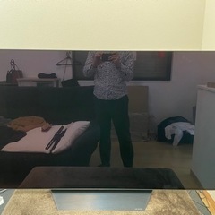 55インチ有機ELテレビ OLED55B9PJA 55V型 4Kチューナー内蔵 〔有機EL〕