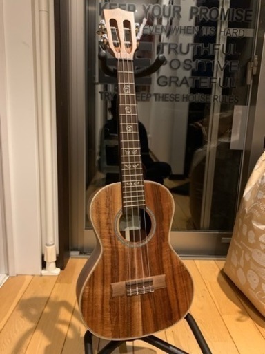 KALA カラ ウクレレ オールソリッド　アカシア単板 テナー KA-SA-T 超美品中古