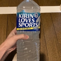 キリン　ラブズ　スポーツ