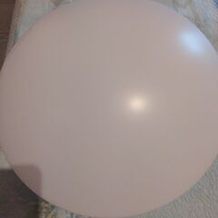 LED 証明