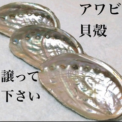 あわび/アバロン/鮑の貝殻/譲ってください