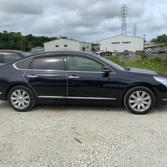 ティアナの画像