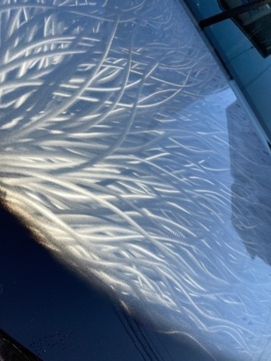 前期型SAIのボンネット