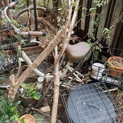 折り畳み自転車　差し上げます