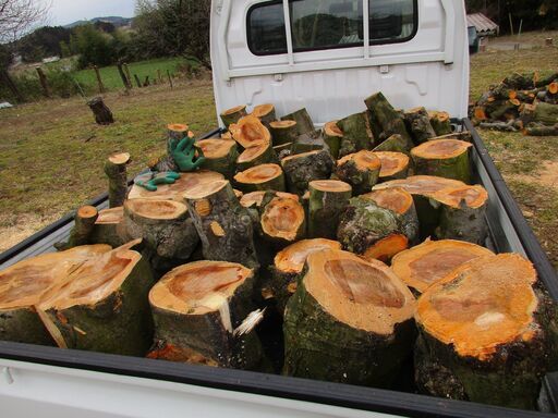 りんごの木　りんごの薪　りんごの木玉切り　ピザ屋さん必見　軽トラ1台分