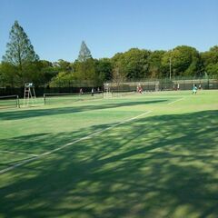6月20日(月) 柏の葉公園庭球場にてソフトテニス🎾🎾やりませんか⁉️
