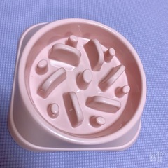 猫🐱&犬用🐶食器　早食い防止食器(未使用)