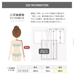 袴・着物・帯 3点セットの画像