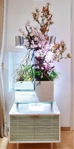 アクアポニックス水槽 brio 専用台 タイマー付きLEDライト